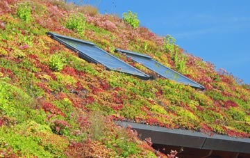 Lintzford living roof systems